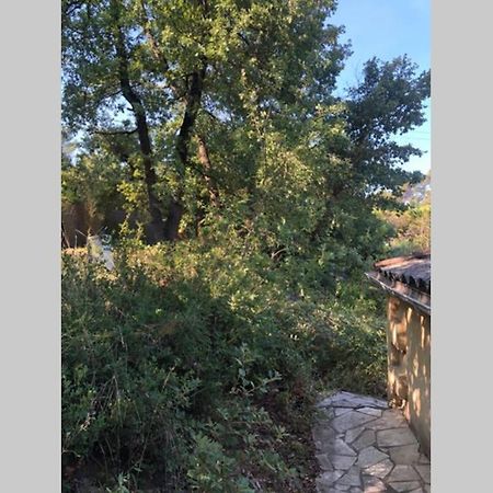 L'Escapade. Entre Aix Et Marseille, Studio Pleine Nature. Fuveau Exterior photo